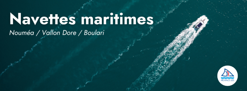 Saison des baleines, observez-les avec respect