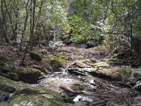 Sentier du col Ravaux
