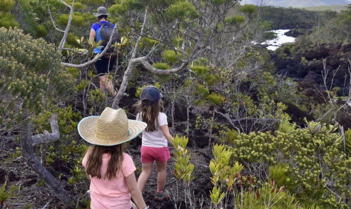L’eau sociale. Lieux aux multiples facettes très riches, les zones humides sont de véritables supports d’activités touristiques, récréatives, pédagogiques et scientifiques. Rien de telle qu’une randonnée en famille pour découvrir ensemble les mystères cachés des zones humides
