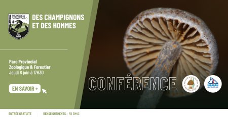 Conférence et expo “Des champignons et des hommes”