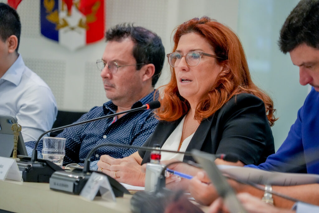 Dsc04406 • province sud Red haired woman with glasses speaks into a microphone at a panel seated between two men