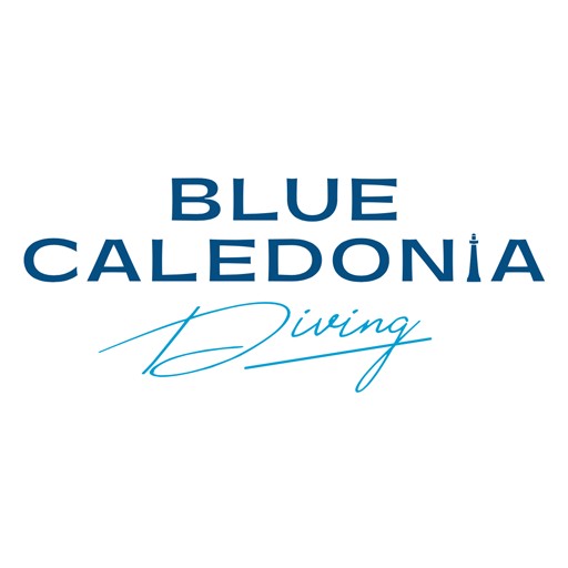 Logo for Blue Caledonia Diving, featuring bold blue uppercase text 'BLUE CALEDONIA' and a light blue cursive 'Diving' beneath.