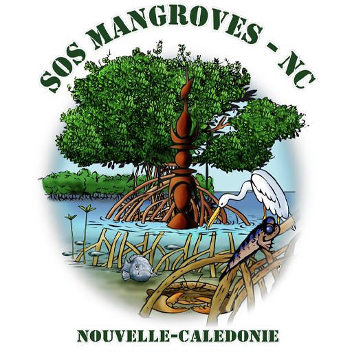 sos mangroves nc