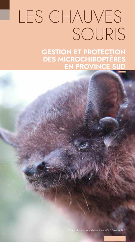 À lire : Les chauves-souris : Gestion et protection des microchiroptères en province Sud