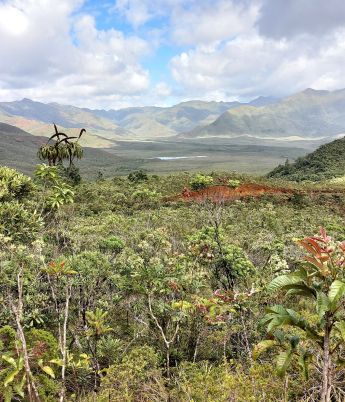 Les parcs et sites naturels de la province Sud