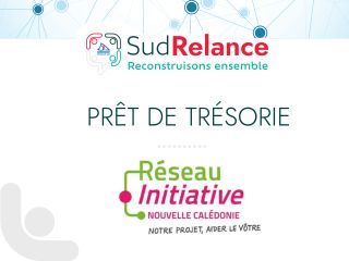 Collage of logos and French slogans: SudRelance 'Reconstructons ensemble' with network graphics and 'Re9seau Initiative Nouvelle-Caldonie' text below.