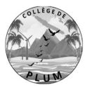 Logo : Collège de Plum