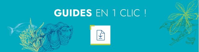Tous nos guides en un clic !