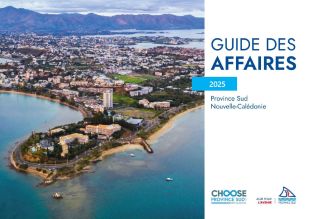 Première de couverture de : Guide des affaires
