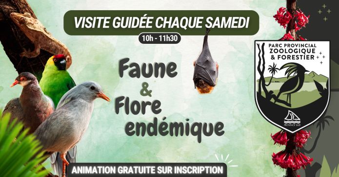 Faune & Flore endémique : visite guidée au Parc Provincial Zoologique et Forestier