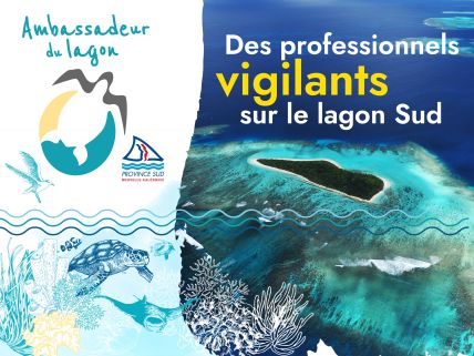 Visuel de présentation pour "Ambassadeur du lagon', des professionnels vigilants sur le lagon Sud