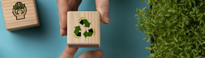 wp-content/uploads/2024/06/objectifs-developpement-durable-nature-morte-3-copie_1-1-scaled.jpg