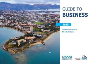 Première de couverture de : Guide to business