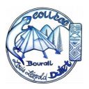 Logo : Collège Louis Leopold Djiet