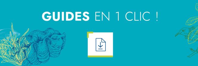 Tous nos guides en un clic !