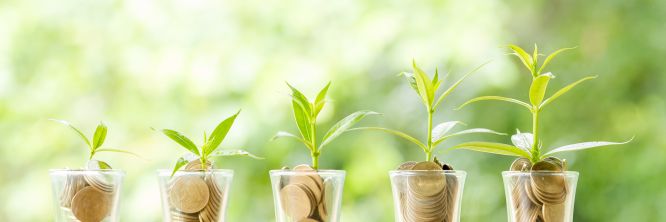 Développement des entreprises, du tourisme et de l’agriculture