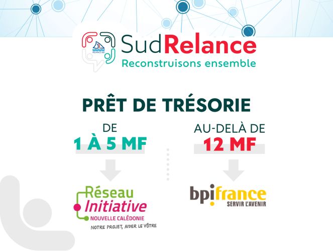 Banner showing SudRelance branding with the subtitle 'Reconstructs ensemble' and partner logos (Réseau Initiative Nouvelle‑Calédonie, bpifrance).
