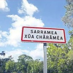 Logo de la commune de Sarraméa