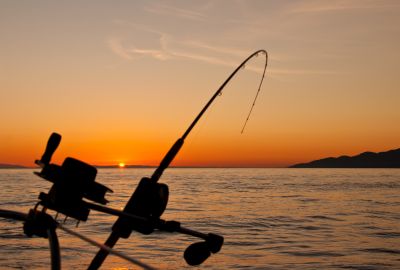 Chasse et pêche