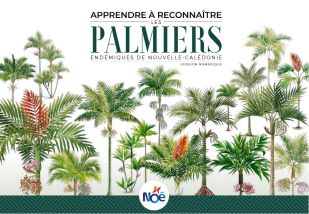 Première de couverture de : Apprendre à reconnaître les palmiers