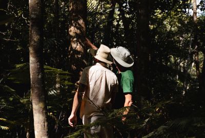 Nos actions environnementales