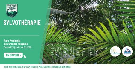 Sylvothérapie