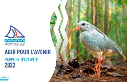 Couverture de présentation du Rapport d’activité 2022