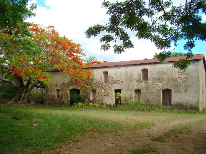Journée portes ouvertes au Jardin de Méaré à La Foa.