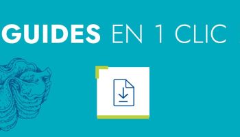 Tous nos guides en un clic !
