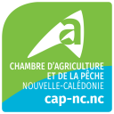 Logo for the Chamber of Agriculture and Fisheries, New Caledonia, featuring a green field and blue wave with the text cap-nc.nc