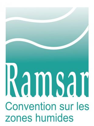 Première de couverture de : Fiches numériques des sites RAMSAR
