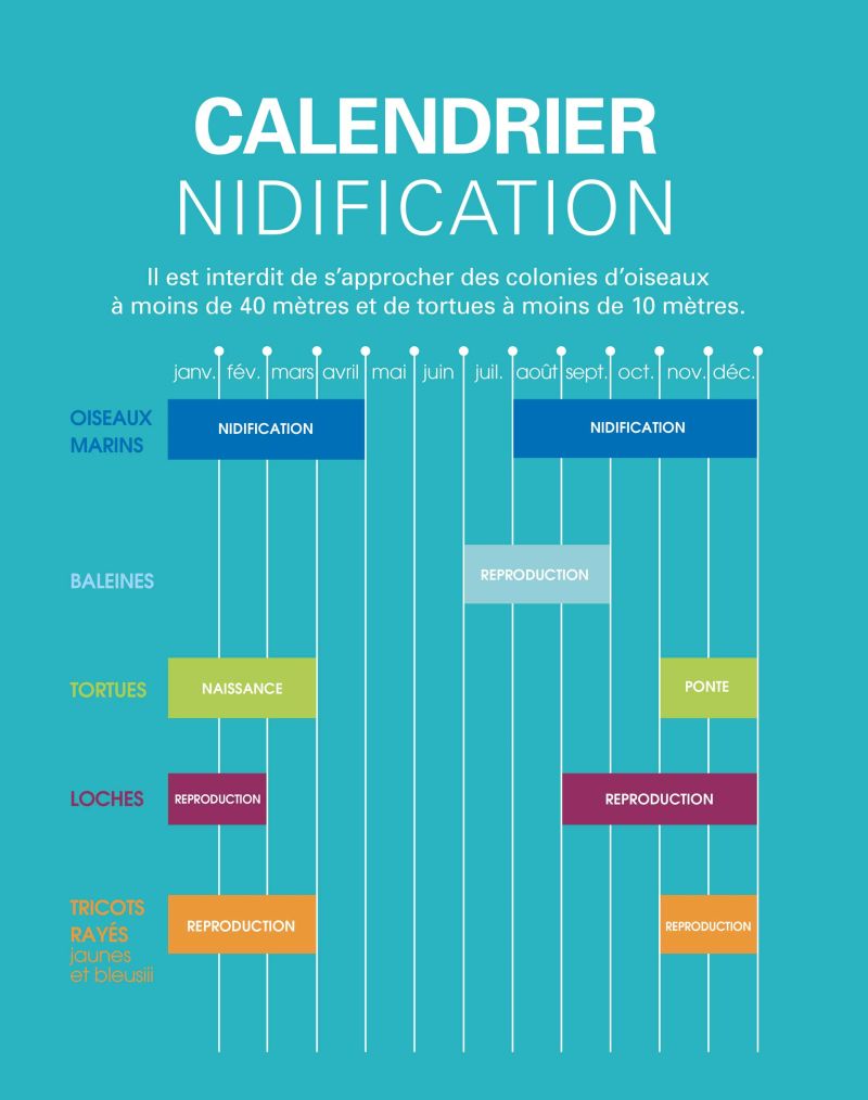 Calendrier des nidifications en province Sud