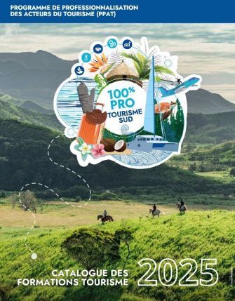 Programme de professionnalisation des acteurs du tourisme (ppat 2025)