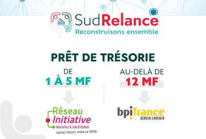Banner showing SudRelance branding with the subtitle 'Reconstructs ensemble' and partner logos (Réseau Initiative Nouvelle‑Calédonie, bpifrance).