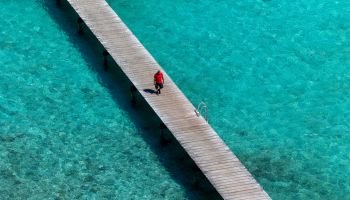 Développement du tourisme