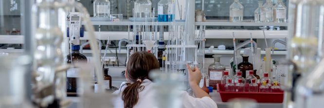 Lab