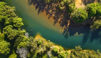 Environnement et développement durable