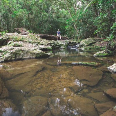 Parc provincial des grandes fougères