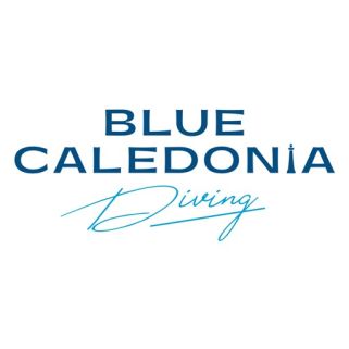 logo : Logo for Blue Caledonia Diving, featuring bold blue uppercase text 'BLUE CALEDONIA' and a light blue cursive 'Diving' beneath.