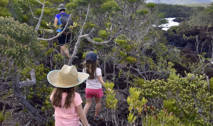 L’eau sociale. Lieux aux multiples facettes très riches, les zones humides sont de véritables supports d’activités touristiques, récréatives, pédagogiques et scientifiques. Rien de telle qu’une randonnée en famille pour découvrir ensemble les mystères cachés des zones humides