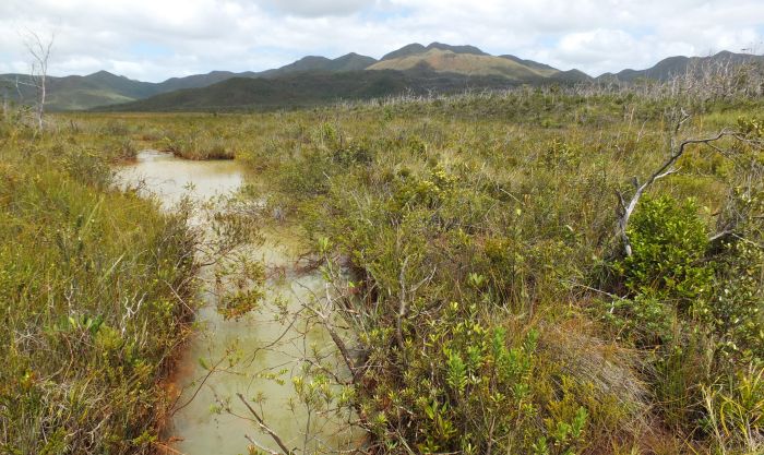 L’eau éponge. Peu connu du grand public, le creek Pernod n'en est pas moins splendide. Il promet à ses curieux et chanceux visiteurs, un cadre unique. Il tire son nom de la couleur laiteuse de son eau, associé à la marque "Pernod". Le site est aujourd’hui considéré comme une zone refuge pour certaines espèces menacées.