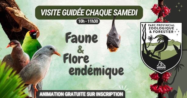 Faune & Flore endémique : visite guidée au Parc Provincial Zoologique et Forestier