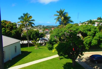 Sunny suburban yard with green lawn, palm trees, and a white building on the left, overlooking a town under a bright blue sky.