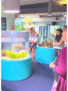 Aquarium des lagons