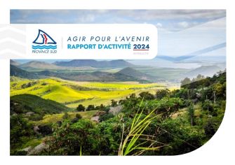 Couverture rapport activité 2024 province Sud