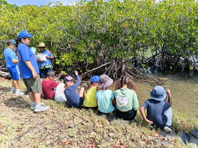 Group of children on a field trip near mangrove roots by the water, listening to a guide holding a booklet.