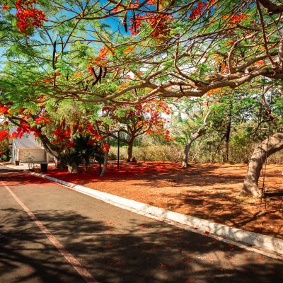 Parc provincial zoologique et forestier