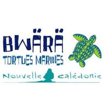 Logo de Bwärä Tortues Marines