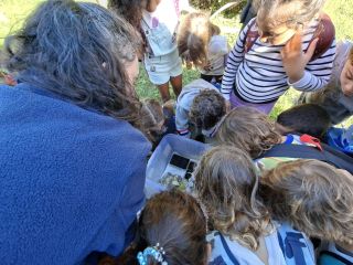 A group of children huddled closely outdoors, looking down at something in the center, with backpacks and hair visible, daylight in a grassy area.
