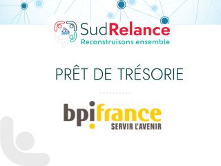 Header banner with partner logos: SudRelance, Au-delà de 12 MF, and Bpifrance on a white background with light blue network graphics.